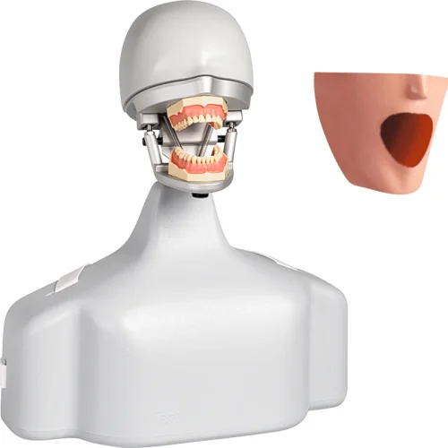Dental øvingsapparat P-6/3 TSE