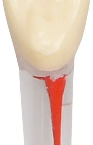 Modelltanner AG-3 ZPUK