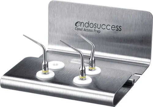 endosuccess CAP