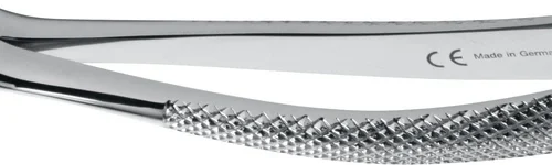 Tanntenger engelsk form