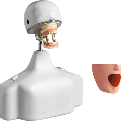 Dental treningsapparat PK-1 TSE