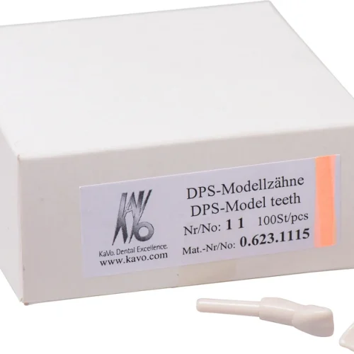 Snappetann modell fortann