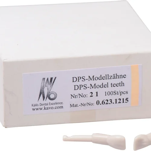 Snappetann modell fortann