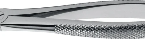 Tanntenger engelsk form