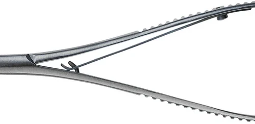 Nålholder etter Lichtenberg RH