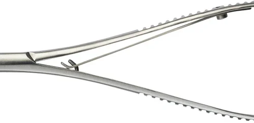 Nålholder etter Lichtenberg RH