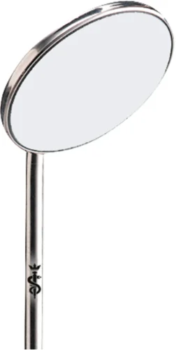 Munnspeil