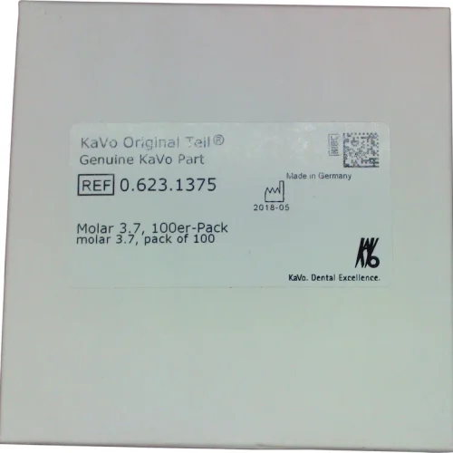 Snappetann modell molar