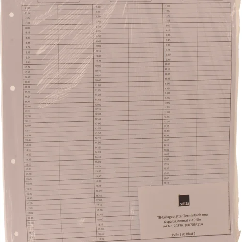 Timebokinnlegg 6-spaltet