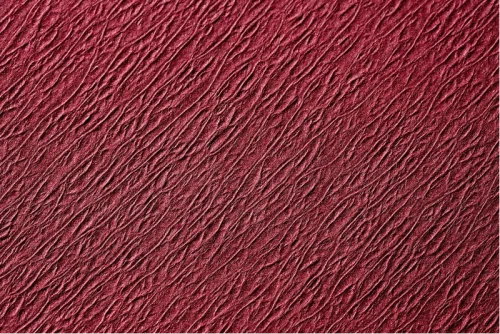 Tannskinneinnlegg