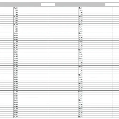 Timeark A3 for ringperm