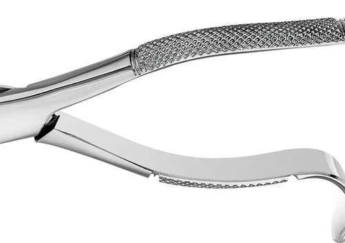 Tanntenger overkjeve