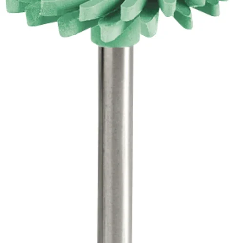 DIATECH ShapeGuard polishere