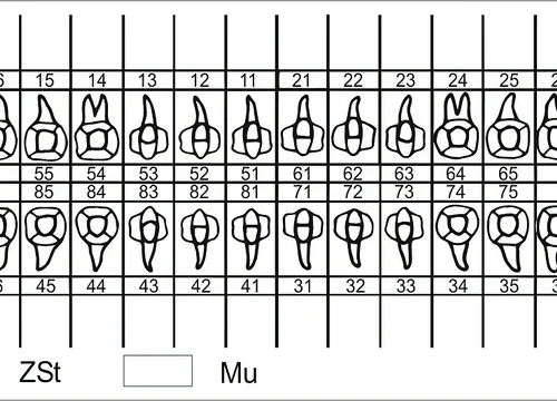 plastisk tannskjema 056