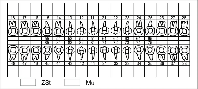 plastisk tannskjema 056