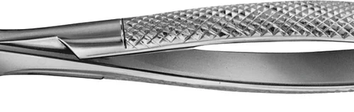 Anatomica-tanntenger