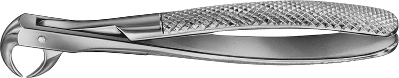 Anatomica-tanntenger