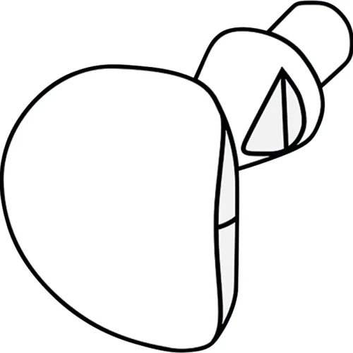 LM Cervical matriser