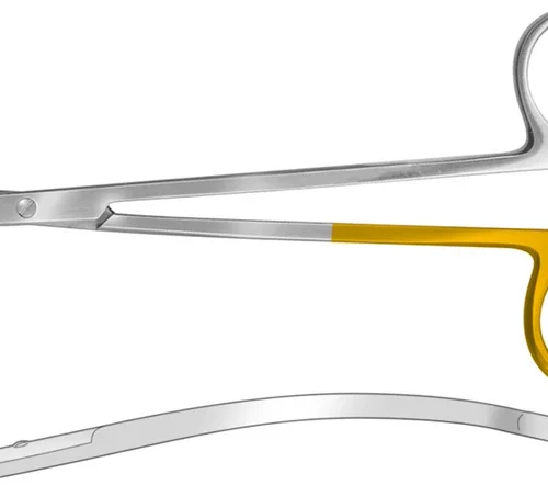 Gingivalsaks etter La Grange