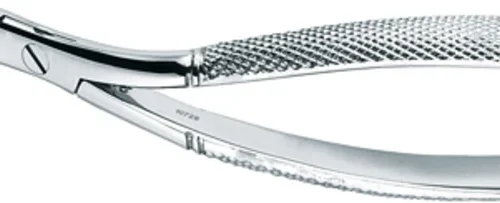 rotfragmenttenger etter Witzel