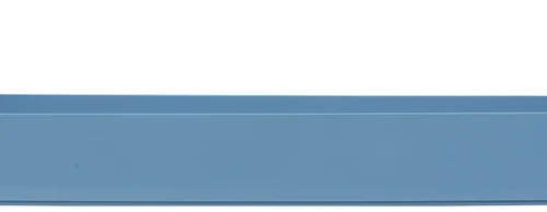 Speikodent""-modellkasser