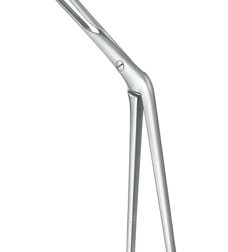 Nesetampongtang etter Lubet-Barbon