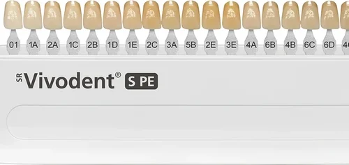 SR Vivodent® S PE fargeguide
