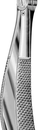 Barne-tang etter Klein