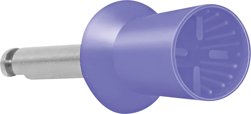 Becht4Prophy prophylaksepolishere