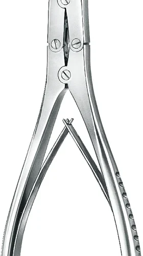 Hulmeiseltang etter Ruskin