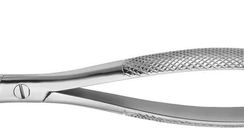 rotklype etter Witzel