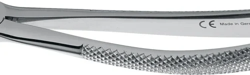 Tanntenger engelsk form