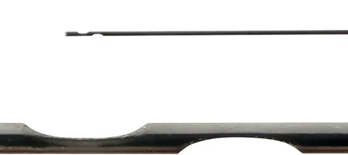 CALASEPT Skyllenåler