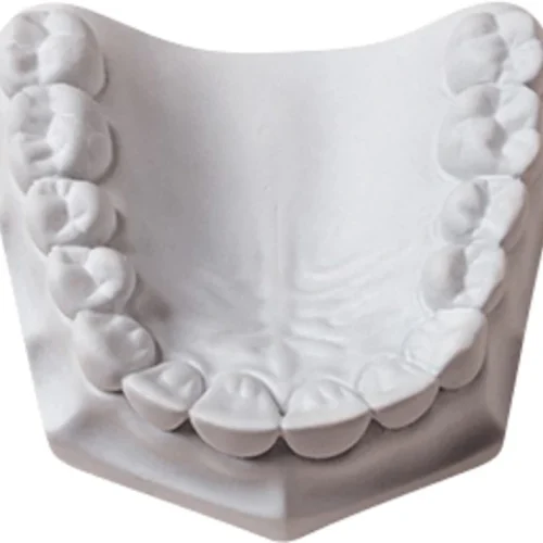 Orthodontic Plaster