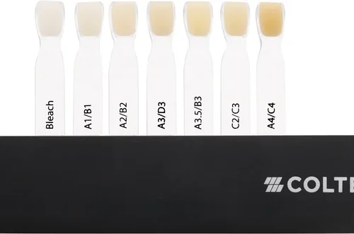 BRILLIANT EverGlow Shade Guide universalfarger