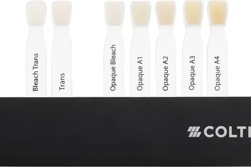 BRILLIANT EverGlow Shade Guide Extention