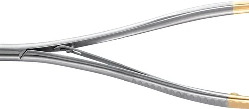 Nålholder etter Lichtenberg-Ryder