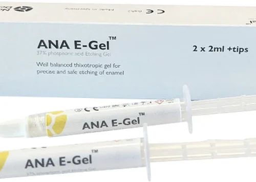 ANA E-Gel