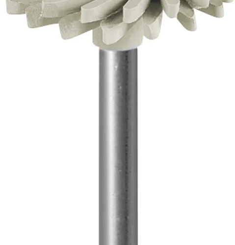 Studiemodell Transparent Plus