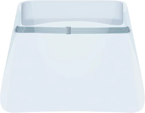 VISOR Light