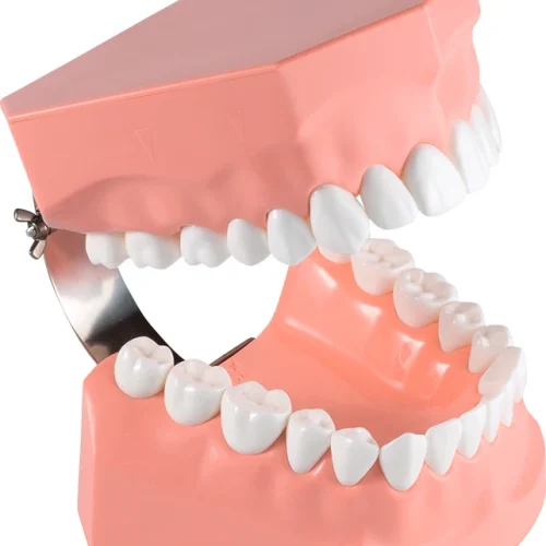 Tannbørste modell P3B-705