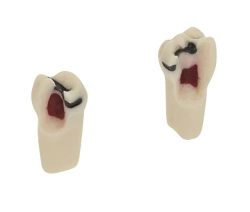 Barnemodelltenner AK-6/2