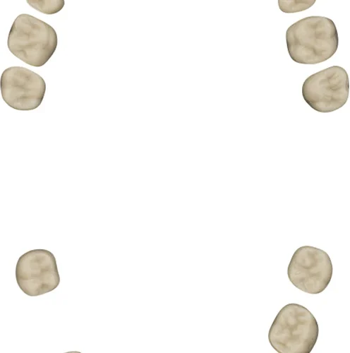 Tannsett for periodontal modell A-PB