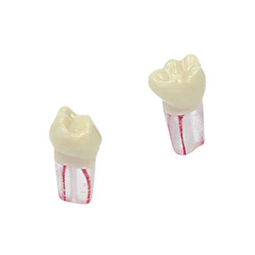 Barnemodelltenner AK-6/2