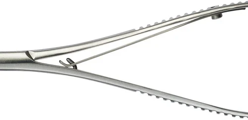 Nålholder etter Lichtenberg TC