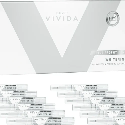 Kulzer Vivida Office Prophy Pen 6% HPS