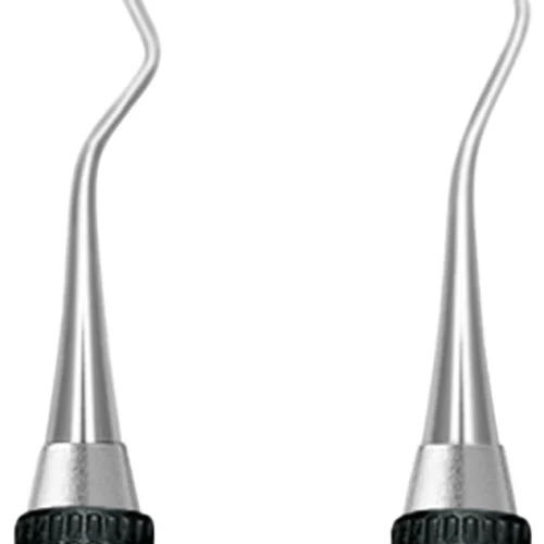 Sichel-Scaler Taylor