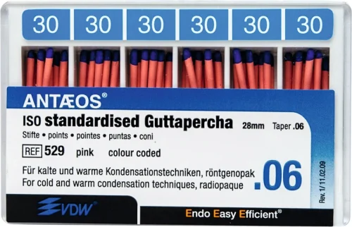 Guttaperka points