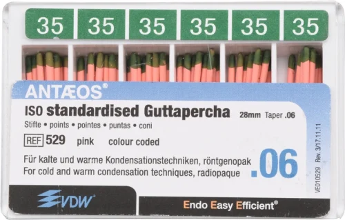 Guttaperka points