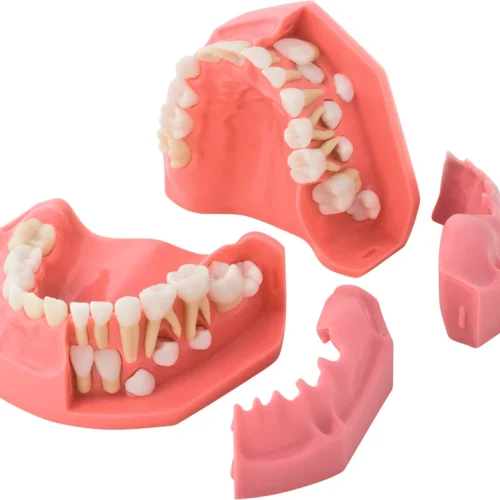 Vekstmodell 5/9 år P1-600B